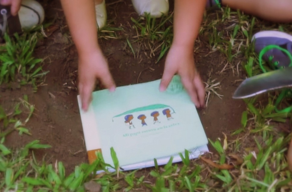 Mature trees for sale image